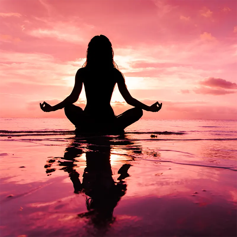 Ellen Rikhye - As Above So Below Ellen Rikhye - As Above So Below