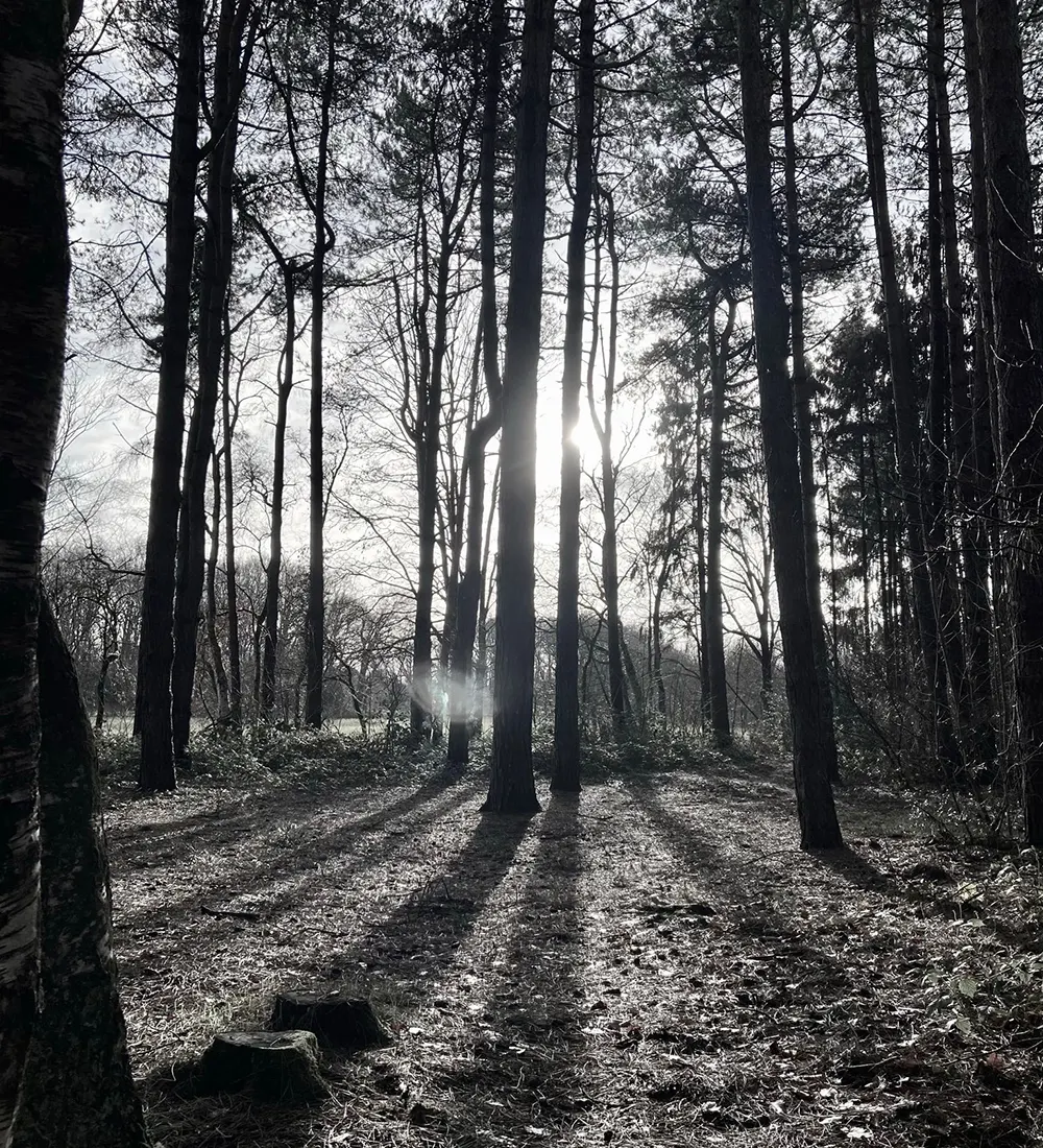 Ellen Rikhye - Burnout recovery Ellen Rikhye - Burnout recovery